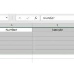 Table for creating barcodes in Excel. (simplilearn)