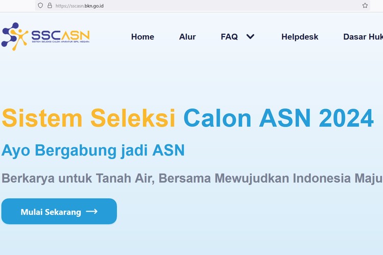 Screenshot of SSCASN website for CPNS registration.