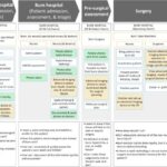 Workflow of a typical burn patient across the spectrum of care.