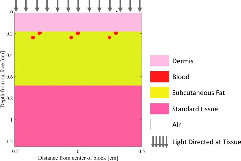 Layered skin tissue model for Monte Carlo simulations.