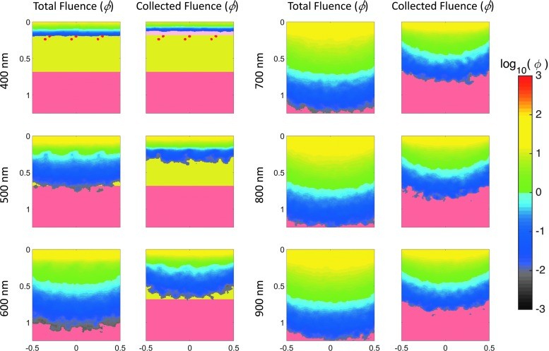 Monte Carlo simulations of diffuse light in layered tissue.