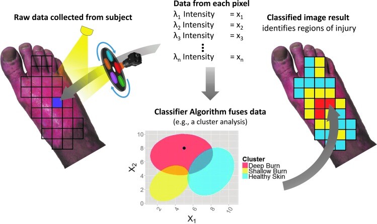 Application of a classification algorithm to MSI data.