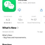 WeChat App Download from App Store